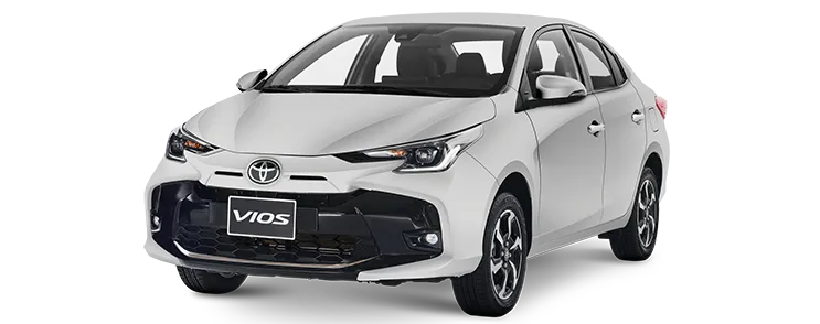 VIOS màu Màu bạc (1D6)